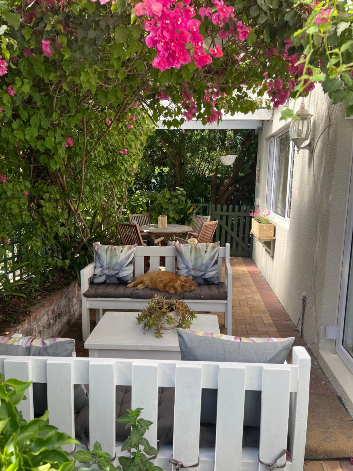 On Broadwalk Cottage Κέιπ Τάουν Εξωτερικό φωτογραφία